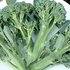 Baby Broccoli 